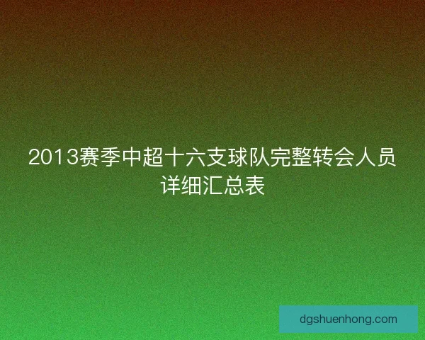 2013赛季中超十六支球队完整转会人员详细汇总表 2013赛季中超十六支球队完整转会人员详细汇总表